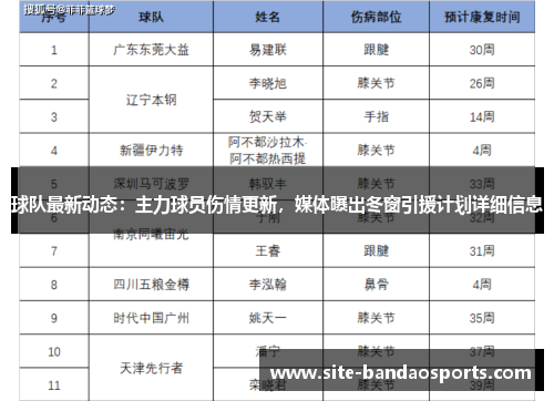 球队最新动态：主力球员伤情更新，媒体曝出冬窗引援计划详细信息