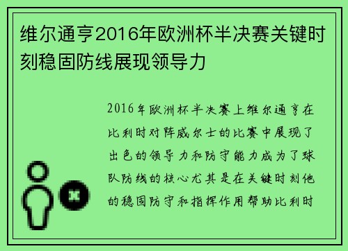 维尔通亨2016年欧洲杯半决赛关键时刻稳固防线展现领导力