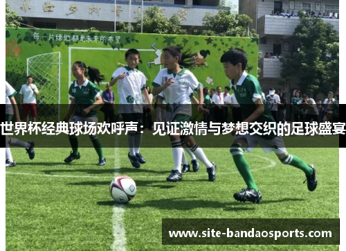 世界杯经典球场欢呼声：见证激情与梦想交织的足球盛宴