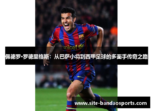 佩德罗·罗德里格斯：从巴萨小将到西甲足球的多面手传奇之路