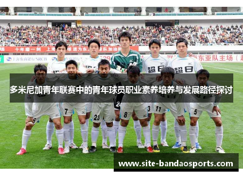 多米尼加青年联赛中的青年球员职业素养培养与发展路径探讨