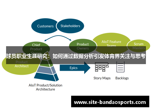 球员职业生涯研究：如何通过数据分析引发体育界关注与思考
