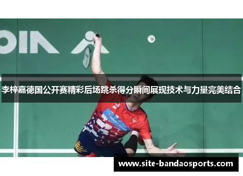 李梓嘉德国公开赛精彩后场跳杀得分瞬间展现技术与力量完美结合
