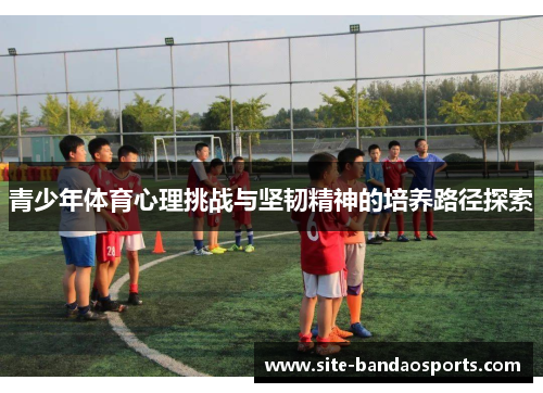 青少年体育心理挑战与坚韧精神的培养路径探索