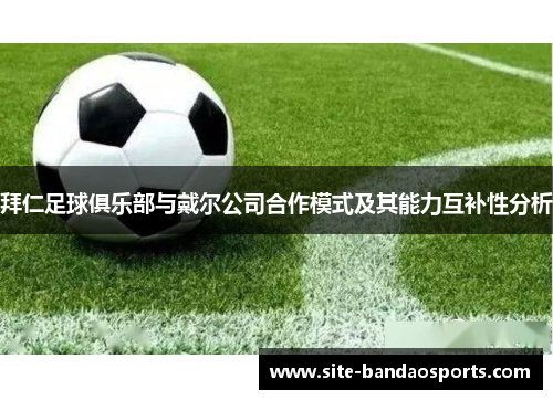 拜仁足球俱乐部与戴尔公司合作模式及其能力互补性分析