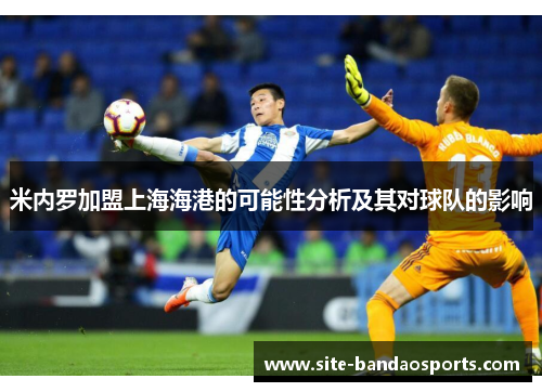 米内罗加盟上海海港的可能性分析及其对球队的影响