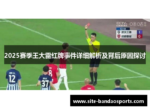 2025赛季王大雷红牌事件详细解析及背后原因探讨