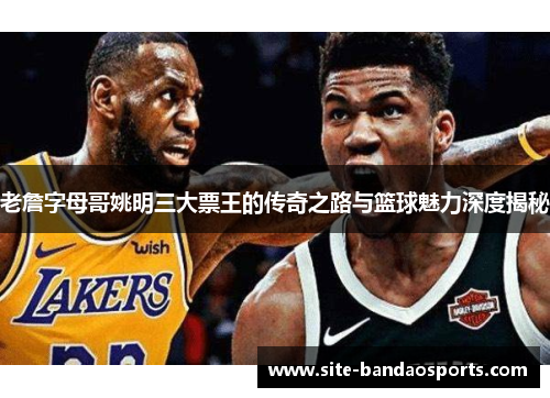 老詹字母哥姚明三大票王的传奇之路与篮球魅力深度揭秘