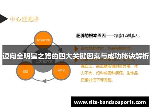 迈向全明星之路的四大关键因素与成功秘诀解析