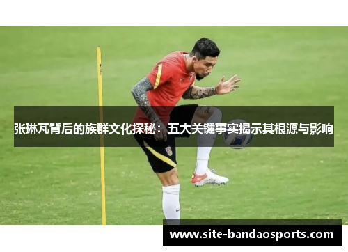 张琳芃背后的族群文化探秘：五大关键事实揭示其根源与影响