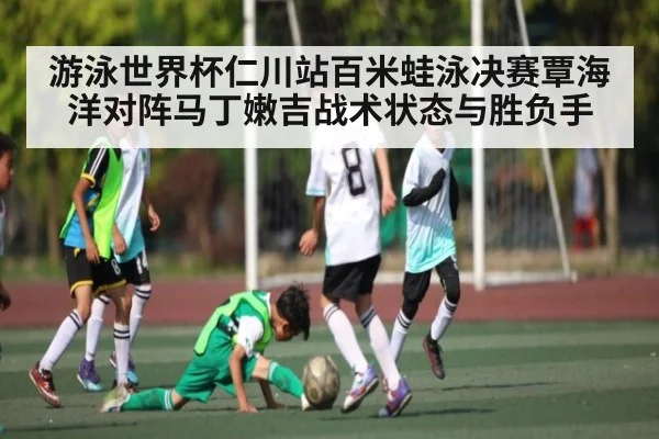 游泳世界杯仁川站百米蛙泳决赛覃海洋对阵马丁嫩吉战术状态与胜负手